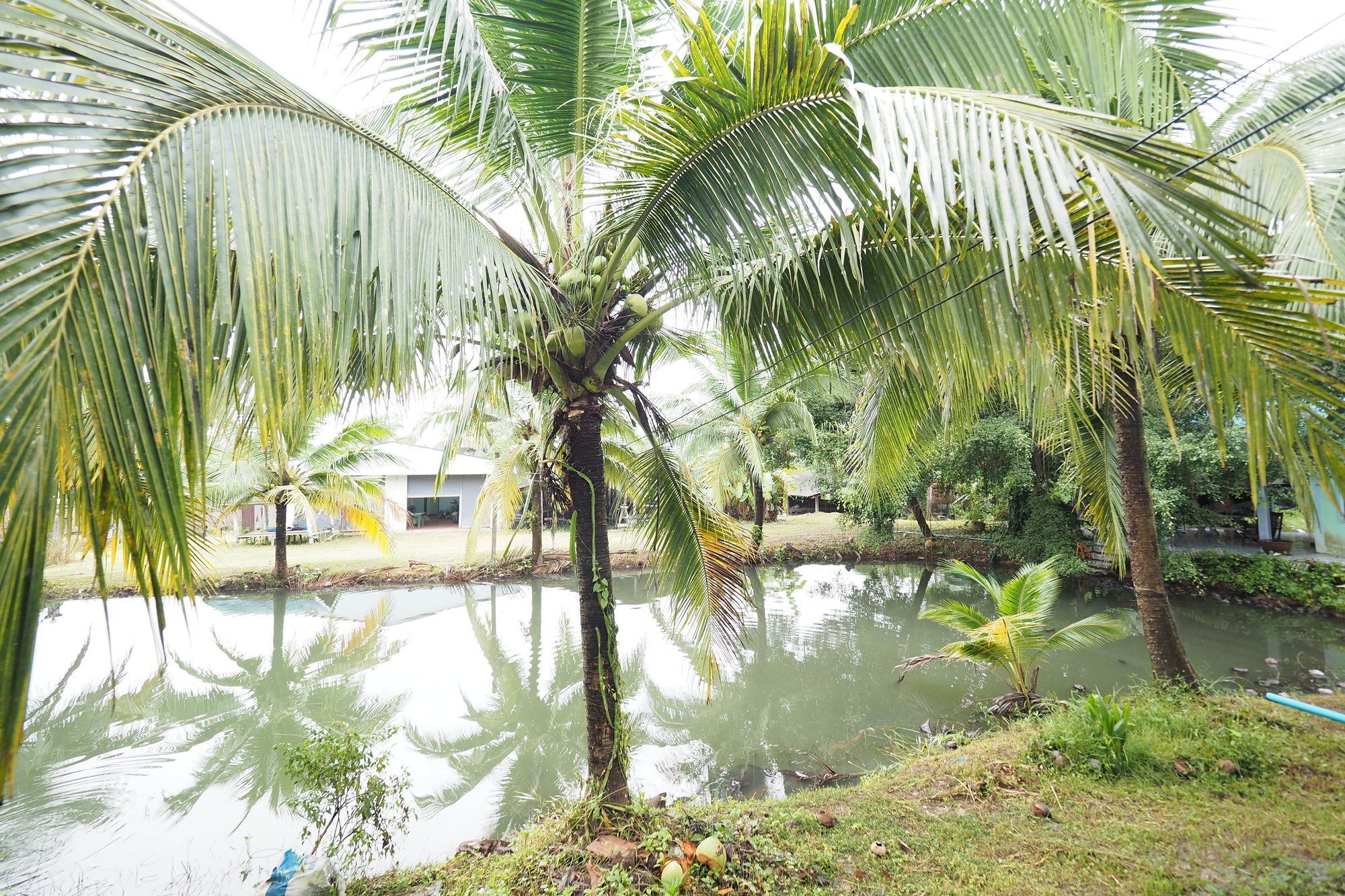 Oyo 75515 Sairung Farmstay Krabi town Extérieur photo